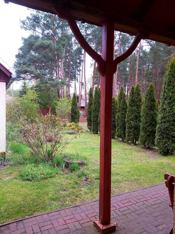 Apartamento Drzewosfera Wilcze  Exterior foto